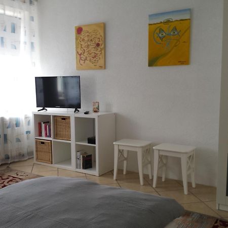 Moderne Wohnung In Barockem Altstadthaus Nahe Altstadt Und Radweg Blieskastel Kültér fotó