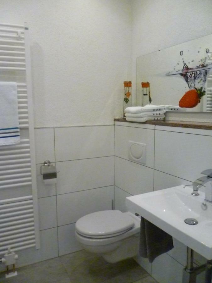 Moderne Wohnung In Barockem Altstadthaus Nahe Altstadt Und Radweg Blieskastel Kültér fotó