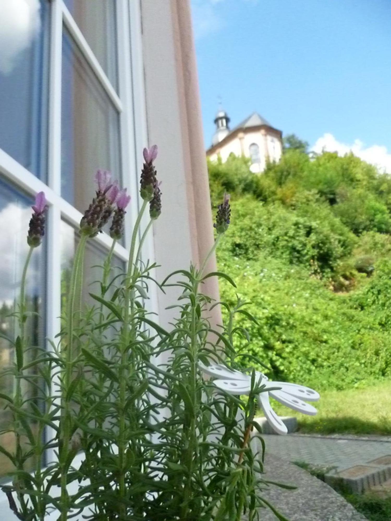 Moderne Wohnung In Barockem Altstadthaus Nahe Altstadt Und Radweg Blieskastel Kültér fotó