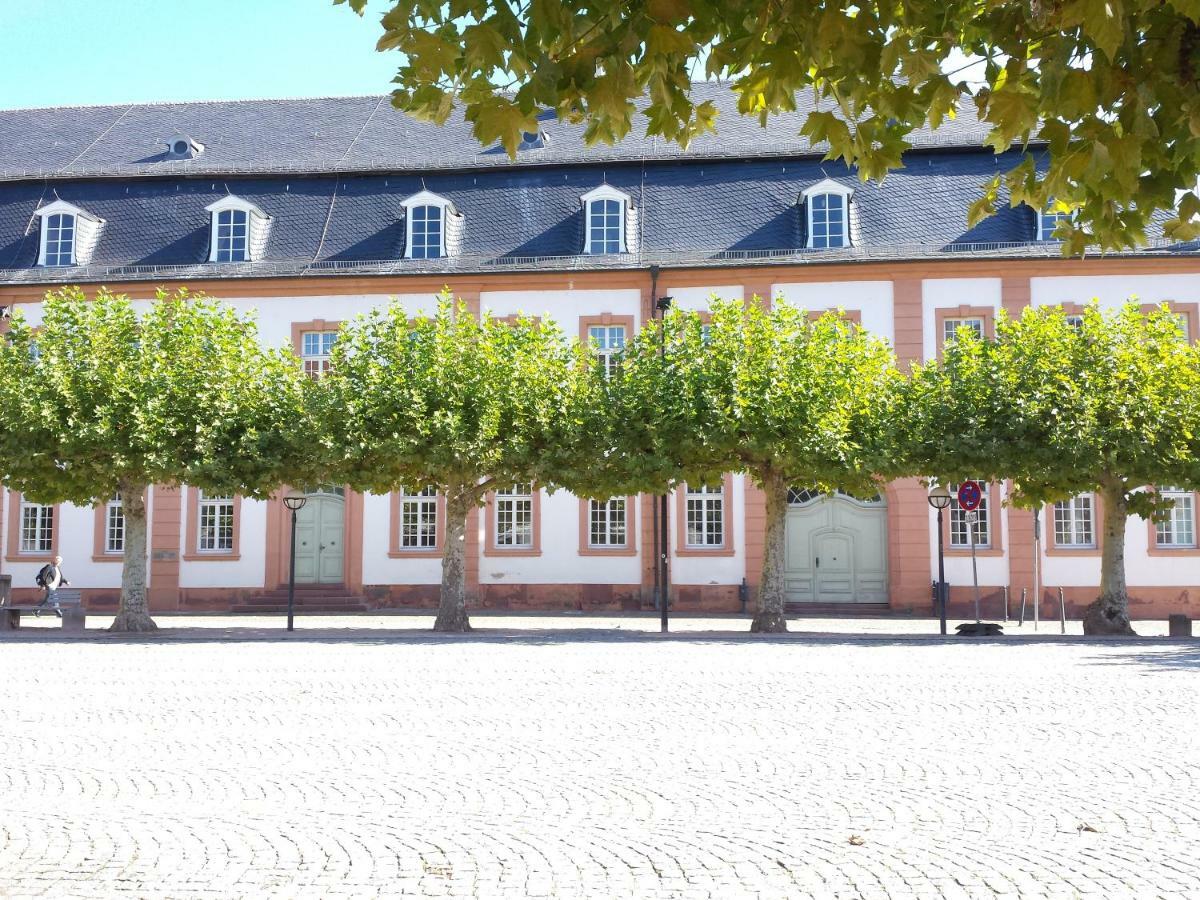 Moderne Wohnung In Barockem Altstadthaus Nahe Altstadt Und Radweg Blieskastel Kültér fotó