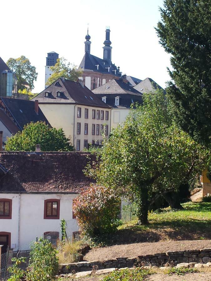 Moderne Wohnung In Barockem Altstadthaus Nahe Altstadt Und Radweg Blieskastel Kültér fotó