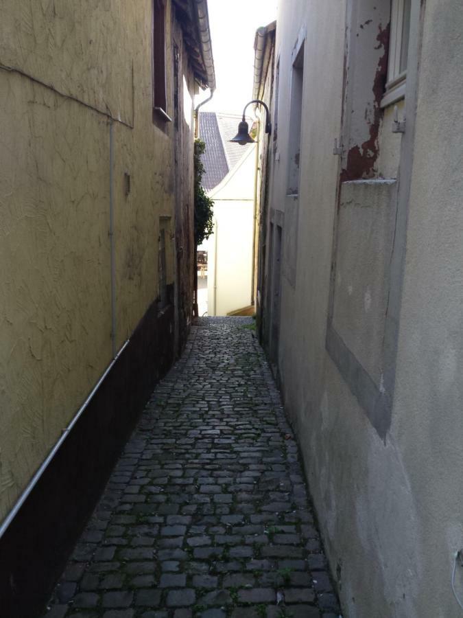 Moderne Wohnung In Barockem Altstadthaus Nahe Altstadt Und Radweg Blieskastel Kültér fotó