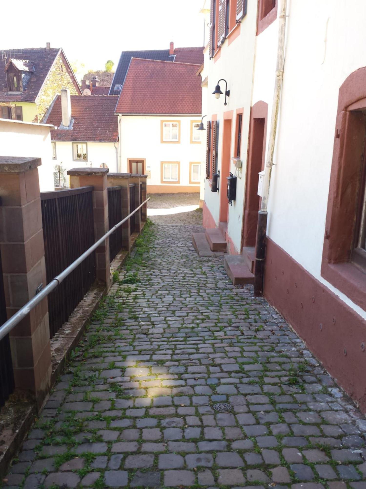 Moderne Wohnung In Barockem Altstadthaus Nahe Altstadt Und Radweg Blieskastel Kültér fotó