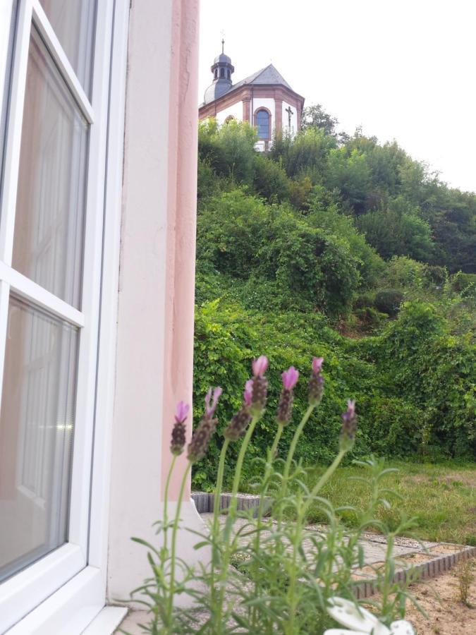 Moderne Wohnung In Barockem Altstadthaus Nahe Altstadt Und Radweg Blieskastel Kültér fotó